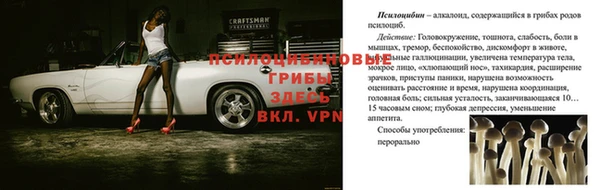 скорость Нея
