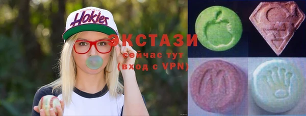 индика Алапаевск
