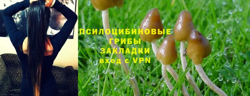 Псилоцибиновые грибы Psilocybe  закладка  hydra tor  Остров 